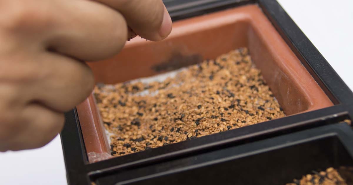 お焼香をつかむ指